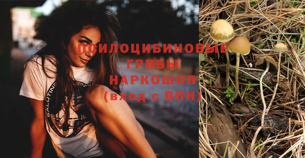 прущая мука Арсеньев