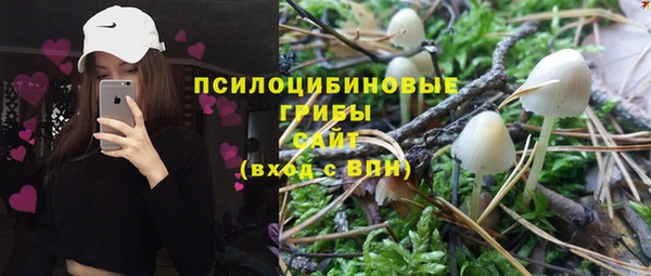 крисы Аркадак