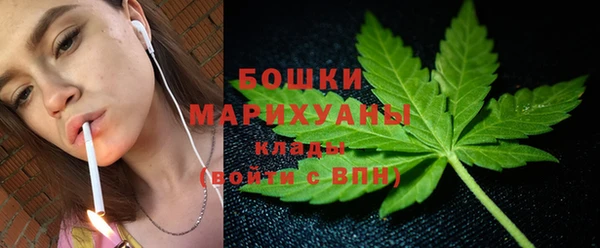 крисы Аркадак